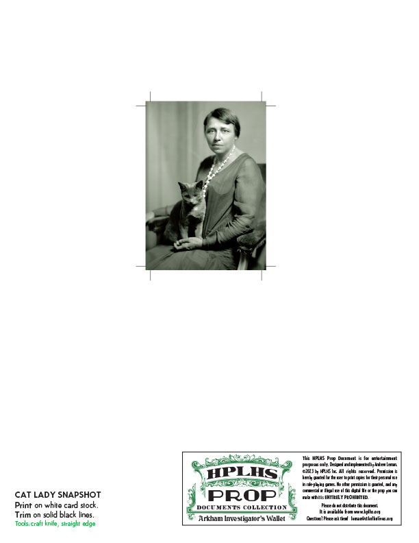 Cat Lady Snap