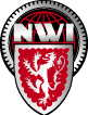 Lapel Pin