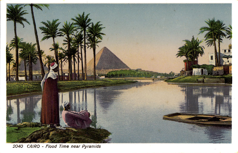 Cairo Postcard