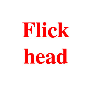 Flickhead
